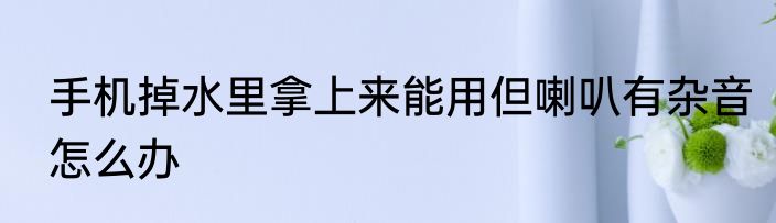手机掉水里拿上来能用但喇叭有杂音怎么办