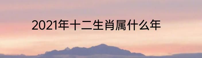 2021年十二生肖属什么年