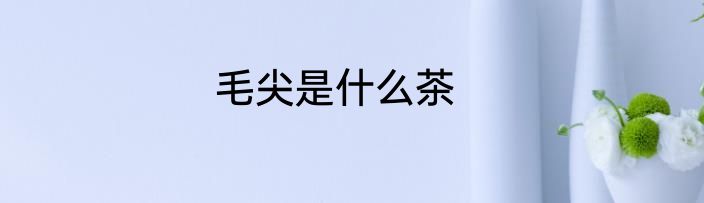 毛尖是什么茶