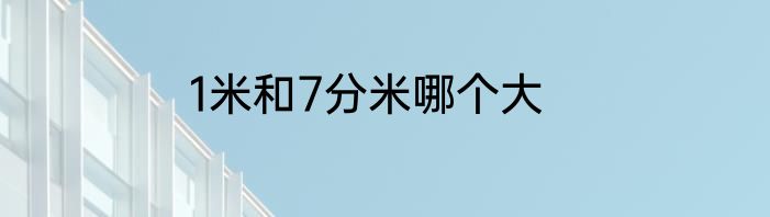 1米和7分米哪个大