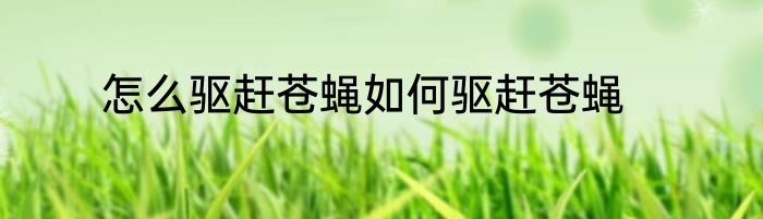 怎么驱赶苍蝇如何驱赶苍蝇