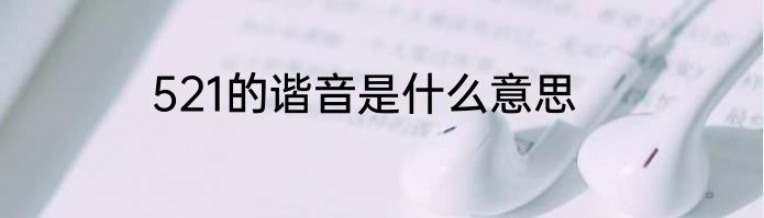 521的谐音是什么意思