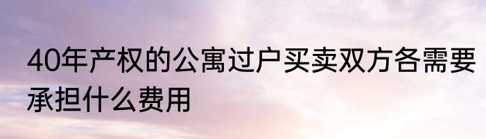 40年产权的公寓过户买卖双方各需要承担什么费用