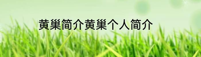 黄巢简介黄巢个人简介