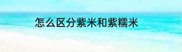 怎么区分紫米和紫糯米