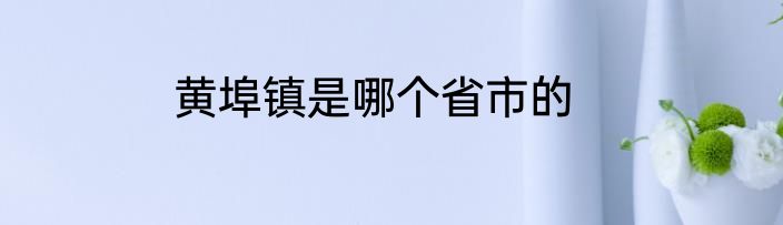 黄埠镇是哪个省市的