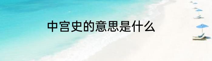 中宫史的意思是什么