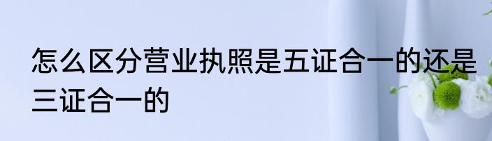 怎么区分营业执照是五证合一的还是三证合一的