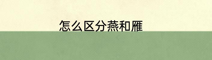 怎么区分燕和雁