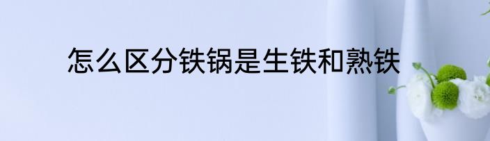 怎么区分铁锅是生铁和熟铁