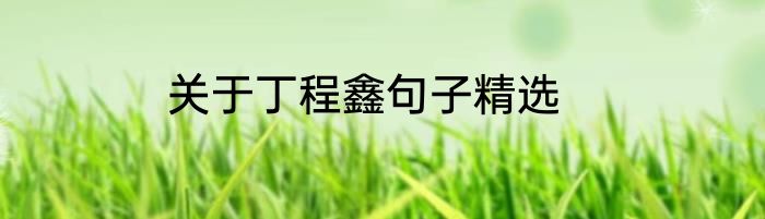 关于丁程鑫句子精选