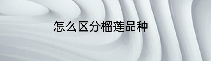 怎么区分榴莲品种