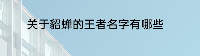 关于貂蝉的王者名字有哪些
