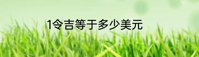 1令吉等于多少美元