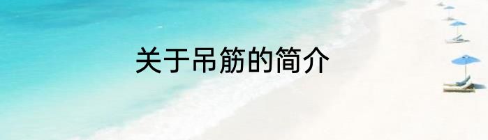 关于吊筋的简介