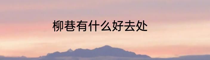 柳巷有什么好去处