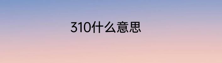 310什么意思