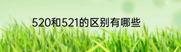 520和521的区别有哪些