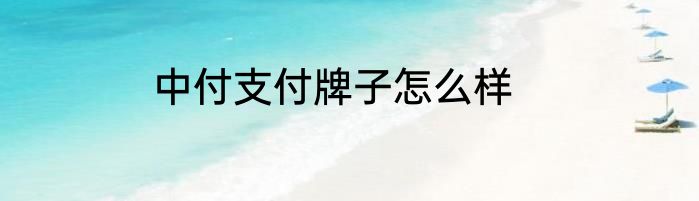 中付支付牌子怎么样