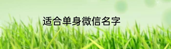 适合单身微信名字
