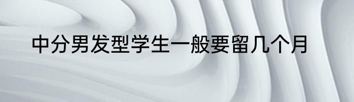 中分男发型学生一般要留几个月