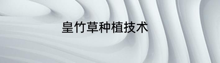 皇竹草种植技术