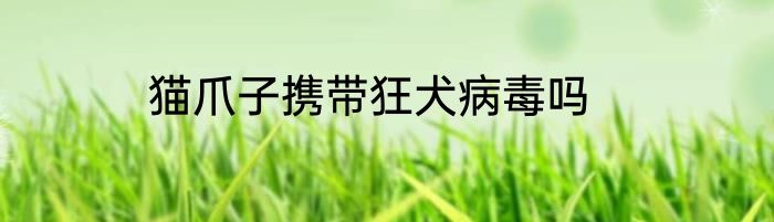 猫爪子携带狂犬病毒吗