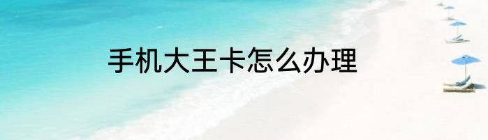 手机大王卡怎么办理