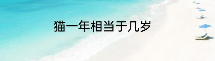 猫一年相当于几岁