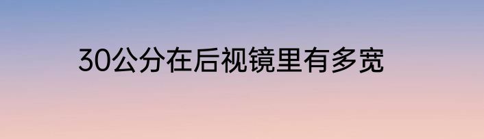 30公分在后视镜里有多宽