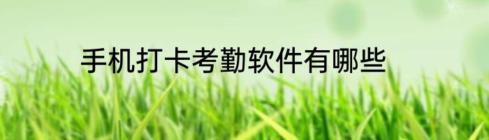 手机打卡考勤软件有哪些