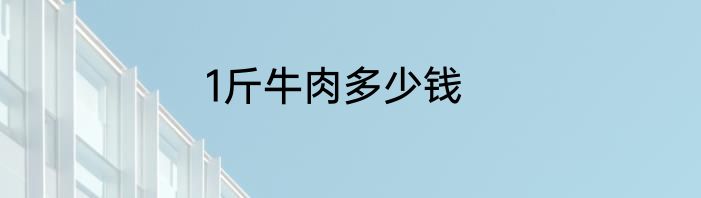 1斤牛肉多少钱