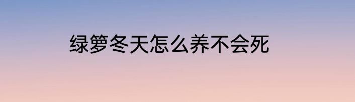 绿箩冬天怎么养不会死