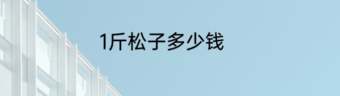 1斤松子多少钱