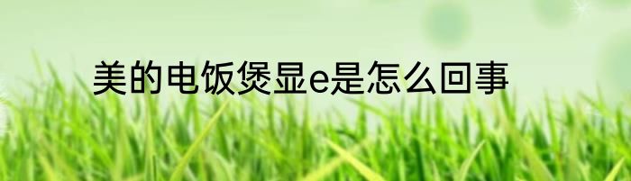 美的电饭煲显e是怎么回事