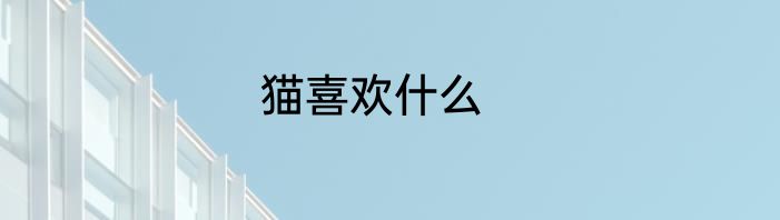 猫喜欢什么