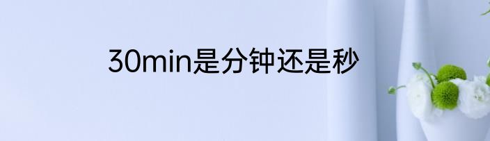 30min是分钟还是秒