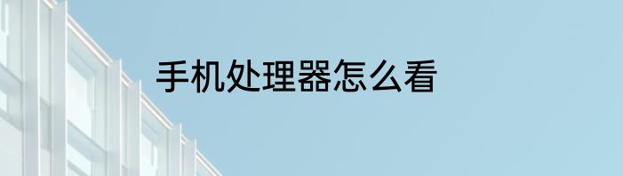 手机处理器怎么看