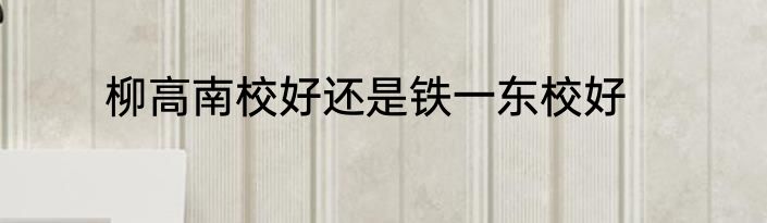 柳高南校好还是铁一东校好