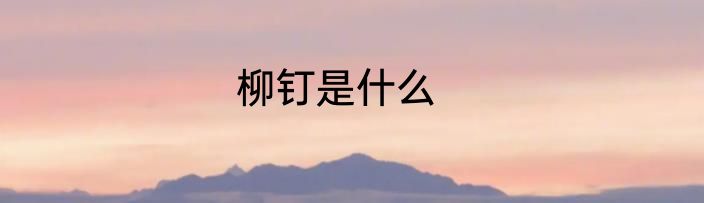 柳钉是什么