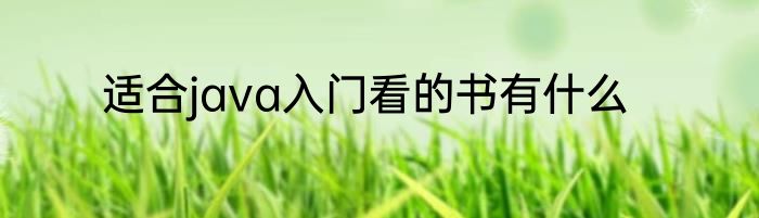 适合java入门看的书有什么