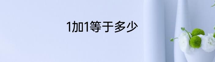 1加1等于多少