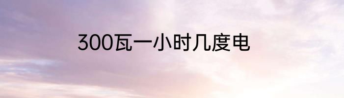 300瓦一小时几度电