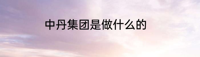 中丹集团是做什么的