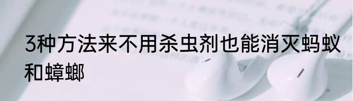 3种方法来不用杀虫剂也能消灭蚂蚁和蟑螂