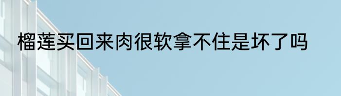 榴莲买回来肉很软拿不住是坏了吗