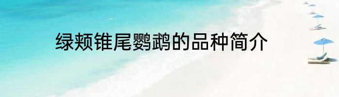 绿颊锥尾鹦鹉的品种简介