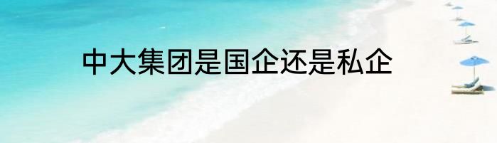中大集团是国企还是私企
