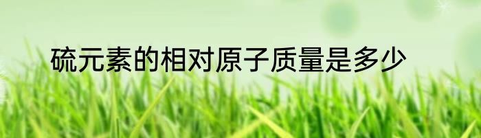 硫元素的相对原子质量是多少