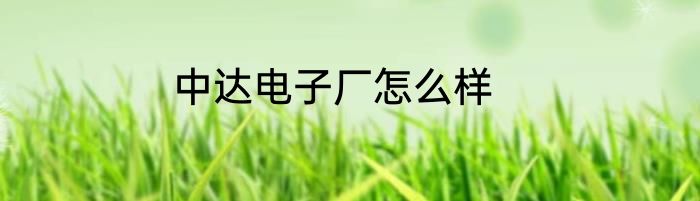 中达电子厂怎么样